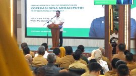 Wakil Menteri Pertanian Sudaryono. (Dok. Kementan)

