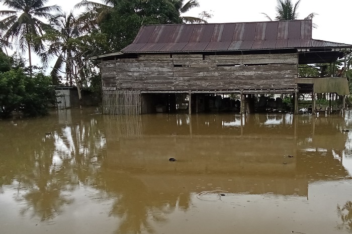 Banjir yang merendam Kecamatan Lambandia, Kabupaten Kolaka Timur, Provinsi Sulawesi Tenggara. (Dok. BPBD Kabupaten Kolaka Timur)